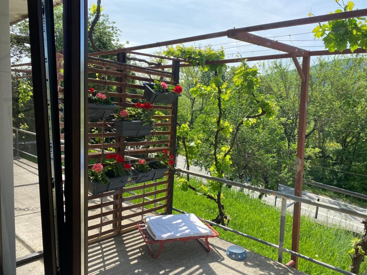 Apartman Verona Buzet Eksteriør bilde